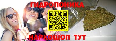 spice Будённовск